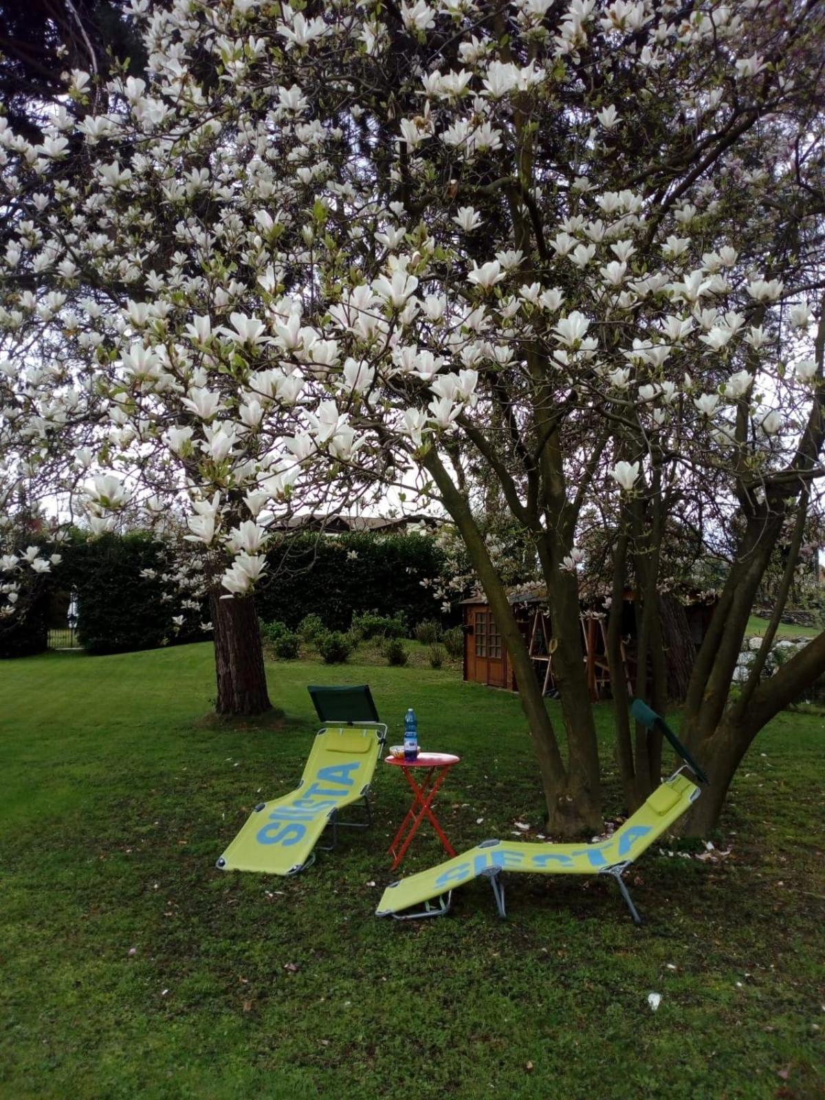 Villa Alice 레사 외부 사진