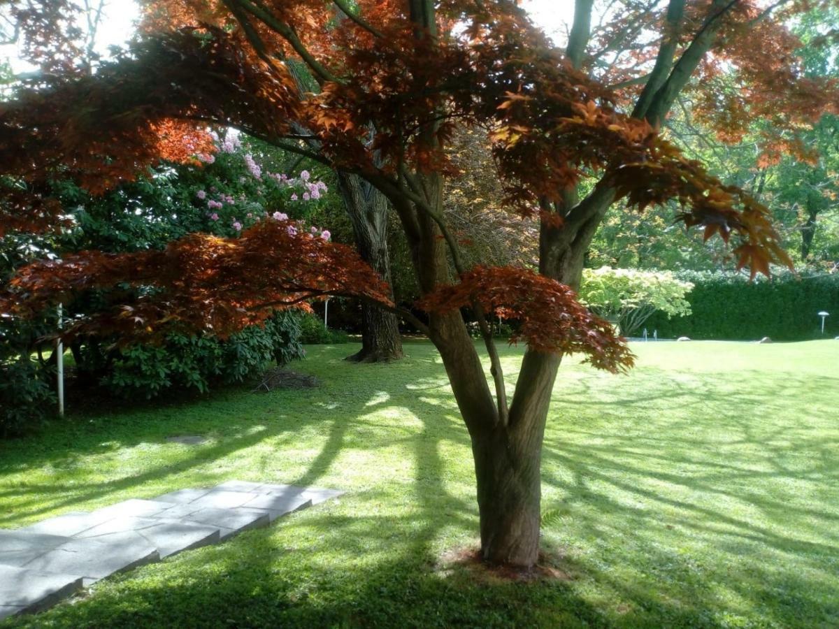 Villa Alice 레사 외부 사진